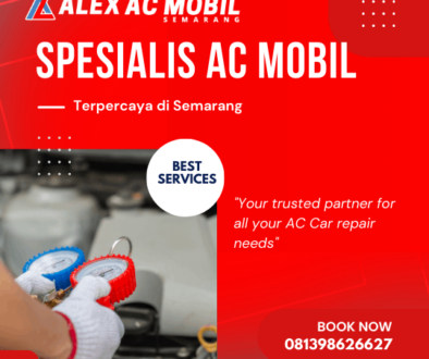 2_blog Alex AC Mobil